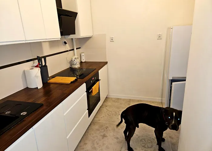 Apartament Moniuszki Starowka Bytom 40M2