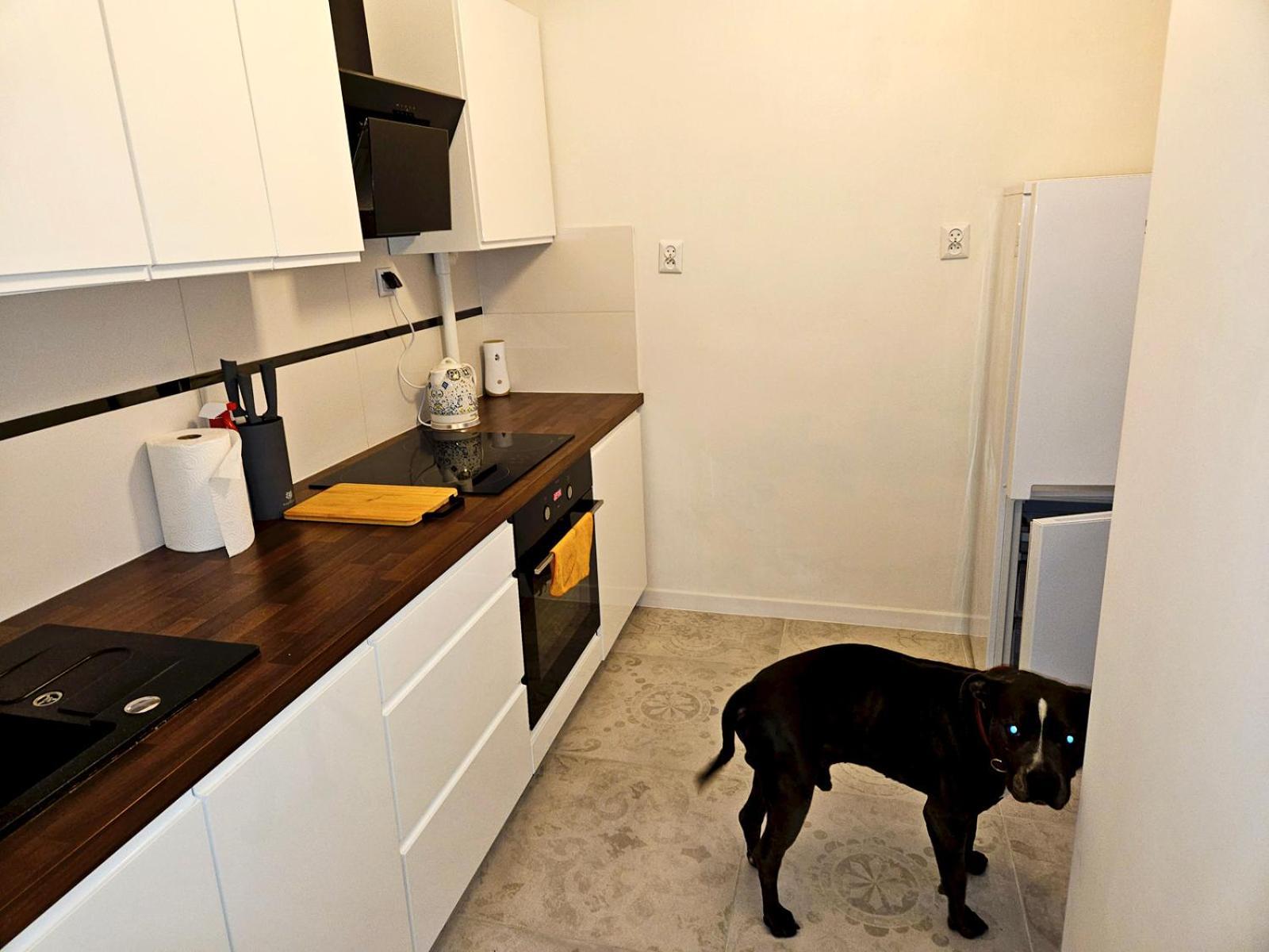 Moniuszki Starowka 40m2 Apartmán *